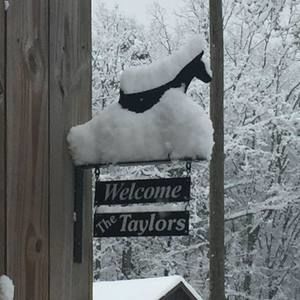 Meet your Posher, Allison